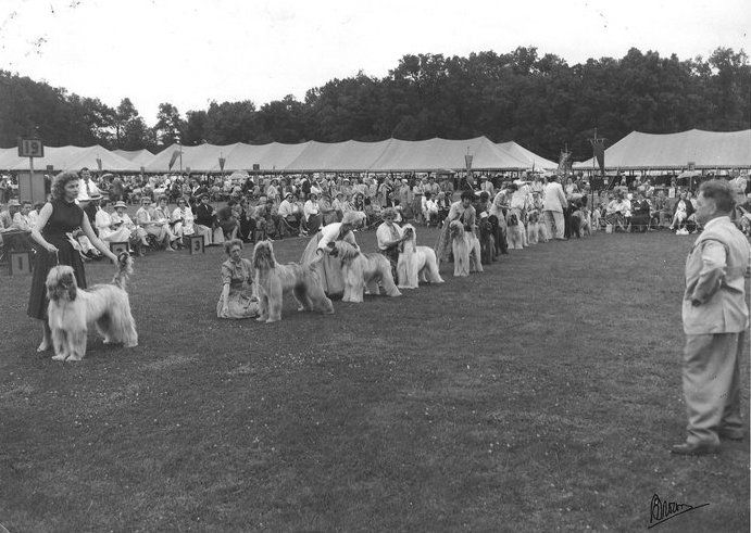 Editorial: October 8, 2021